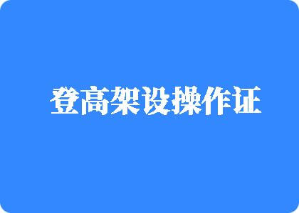 鸡巴插逼网站站入口登高架设操作证